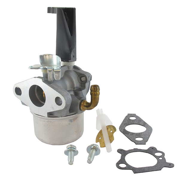 Karburátor pro BRIGGS OEM - 798653